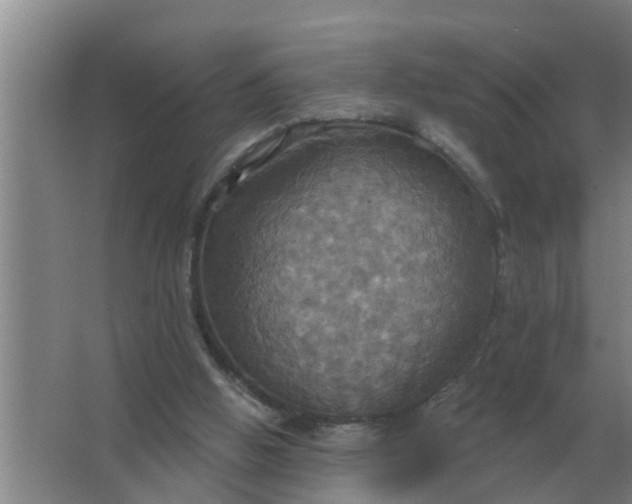 X0000063510058200602032054