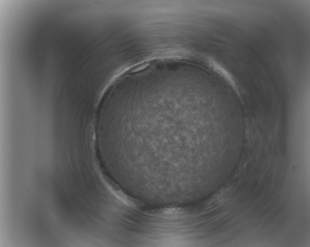 X0000063510059200602032054