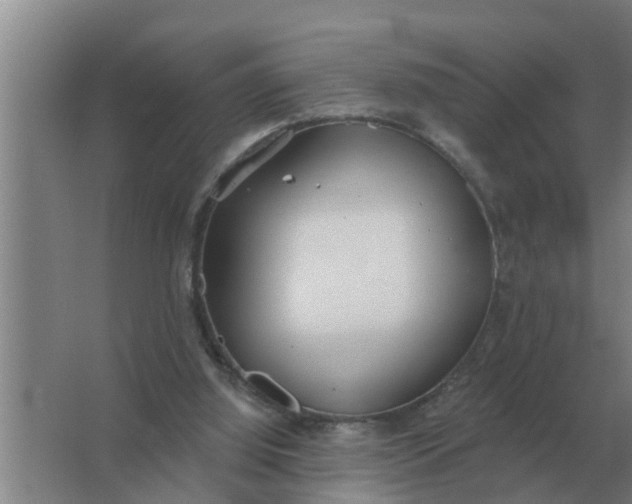 X0000063510060200602032054