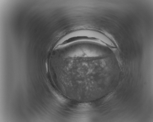 X0000063510061200602032054