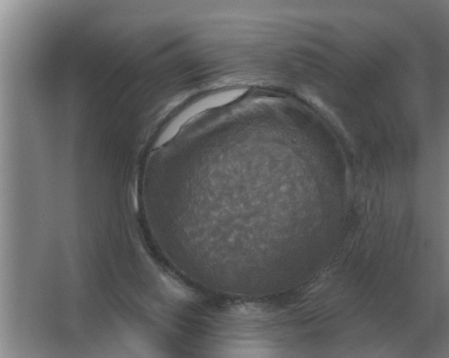 X0000063510062200602032054