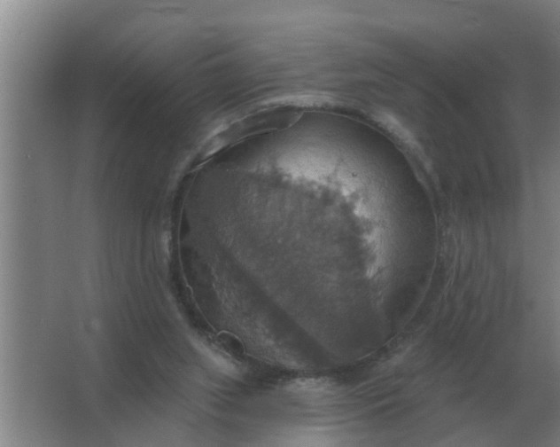 X0000063510063200602032054