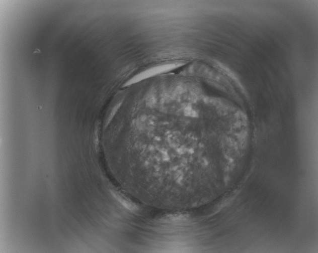 X0000063510065200602032054