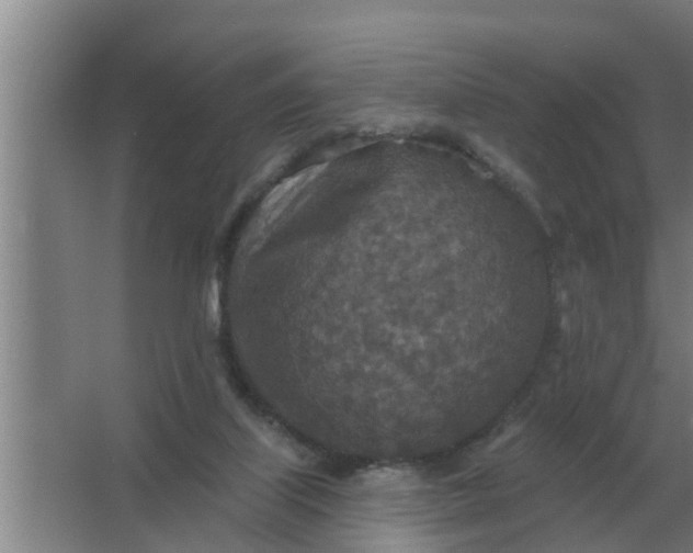 X0000063510067200602032054