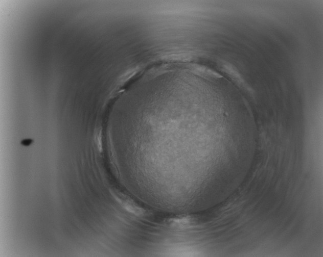 X0000063510068200602032054