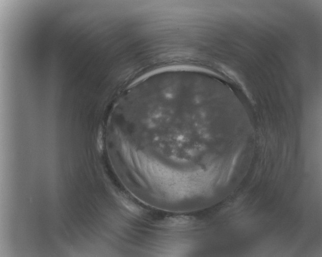 X0000063510069200602032054