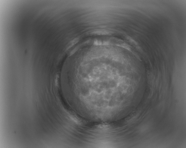 X0000063510071200602032054