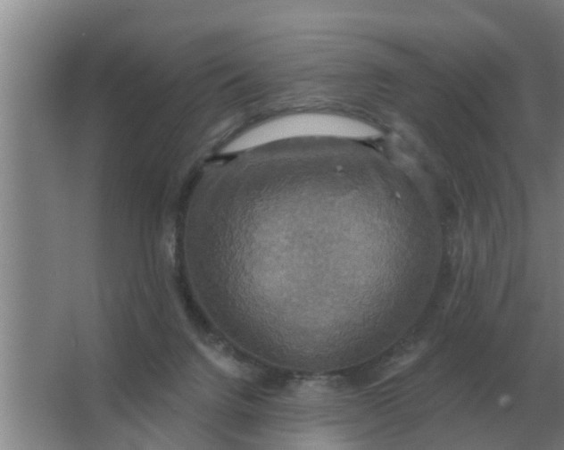 X0000063510072200602032054