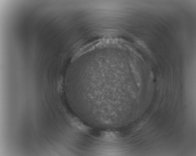 X0000063510073200602032054