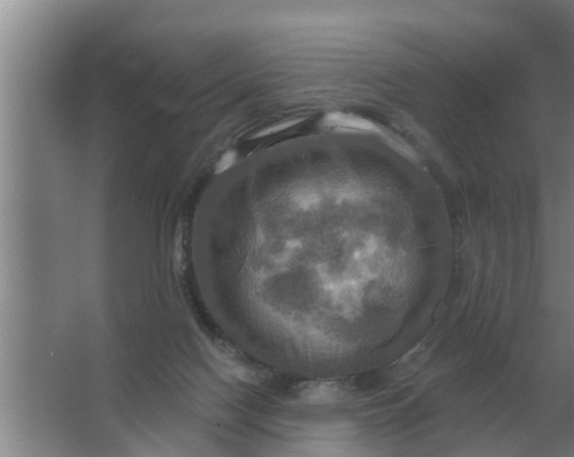 X0000063510074200602032054