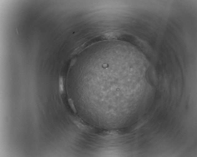 X0000063510075200602032054