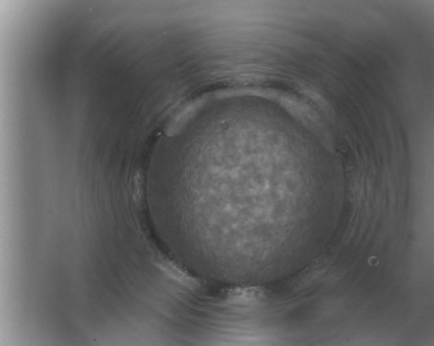 X0000063510077200602032054