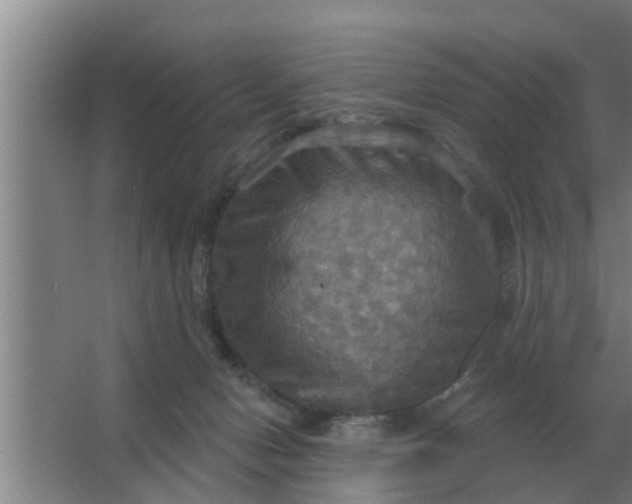 X0000063510078200602032054