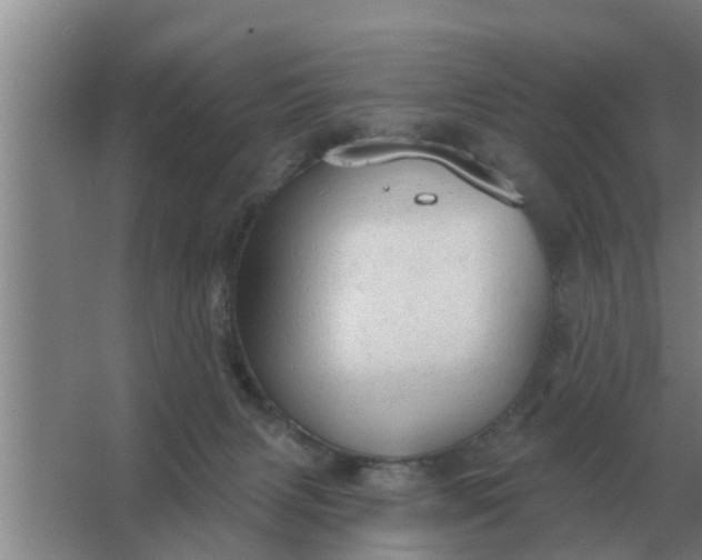 X0000063510079200602032054