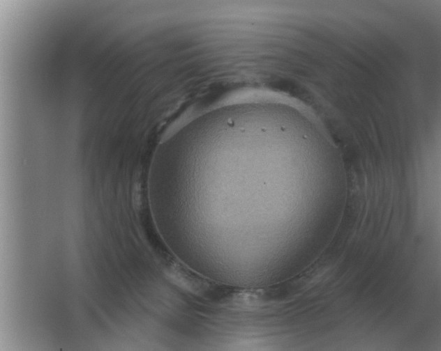 X0000063510080200602032054