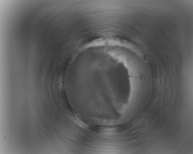 X0000063510081200602032054