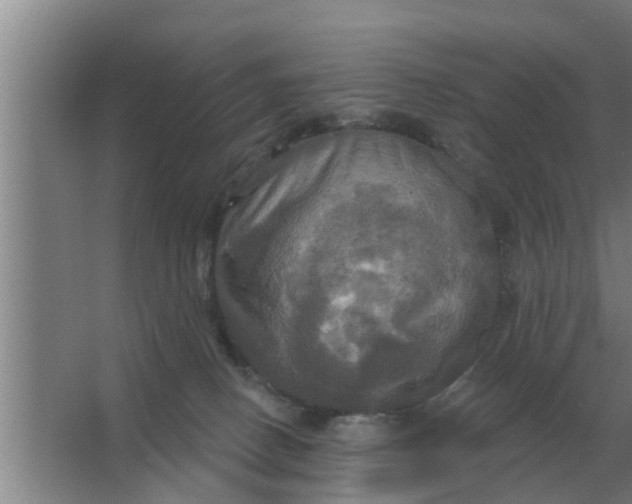 X0000063510082200602032054