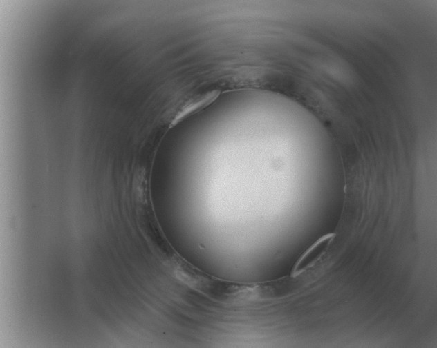 X0000063510083200602032054