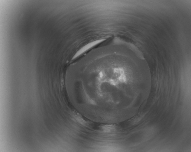 X0000063510085200602032054