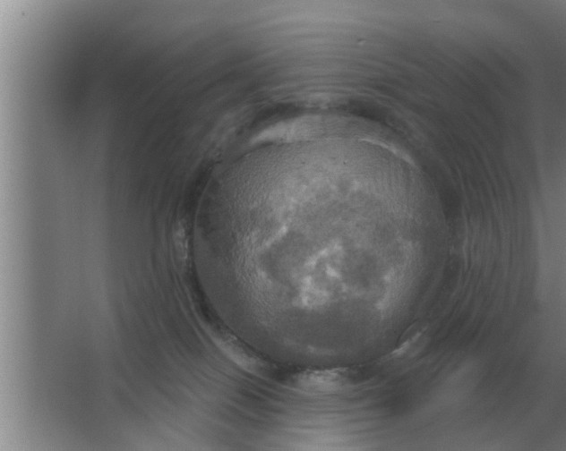 X0000063510086200602032054