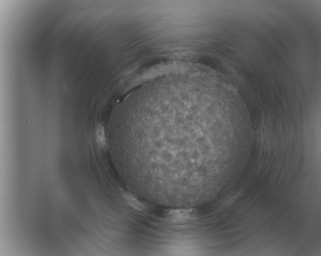 X0000063510089200602032054