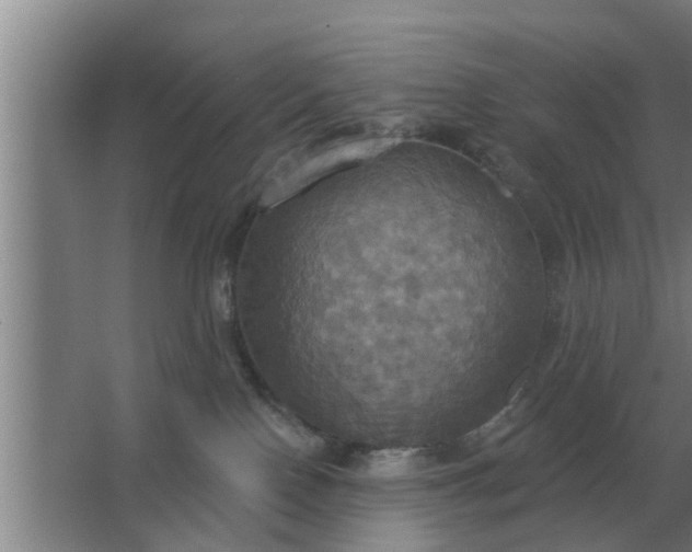 X0000063510090200602032054