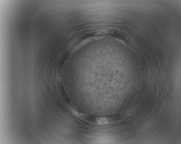 X0000063510091200602032054