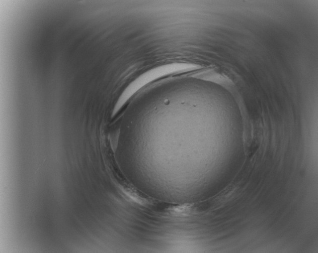 X0000063510092200602032054