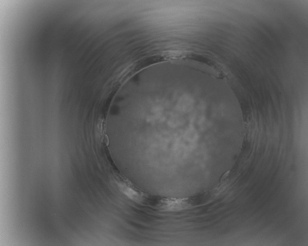 X0000063510093200602032054