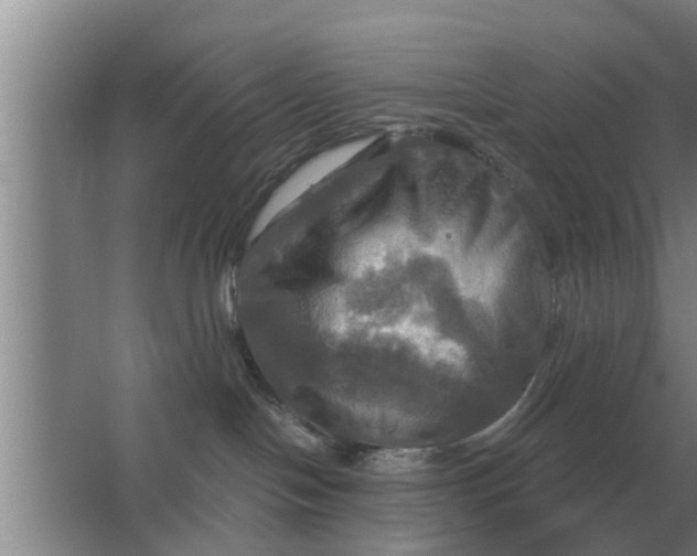 X0000063510094200602032054