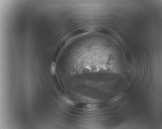 X0000063510095200602032054