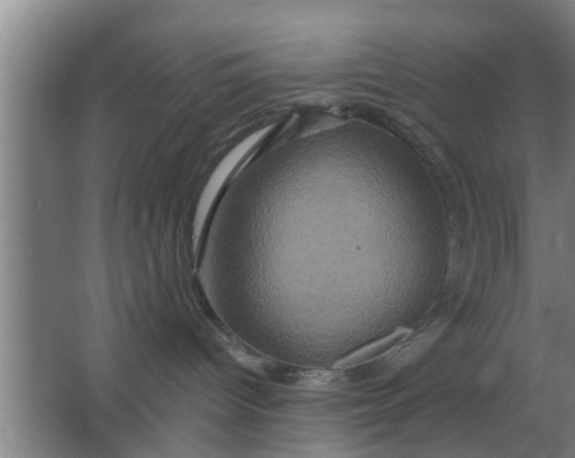 X0000063510096200602032054