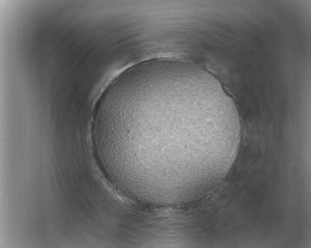 X0000063510098200602032054