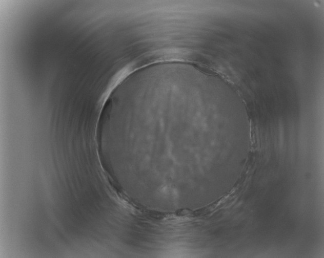 X0000063510099200602032054