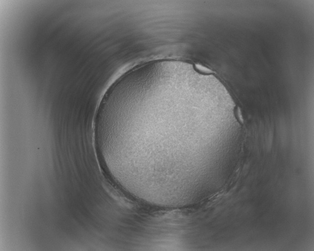 X0000063510100200602032054