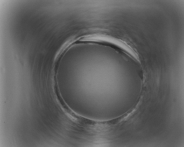 X0000063510101200602032054