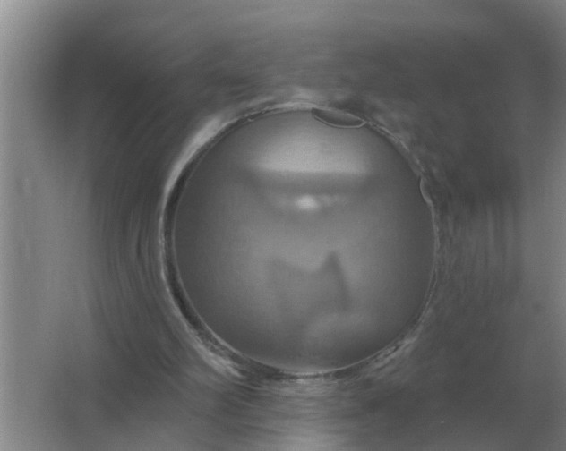 X0000063510102200602032054