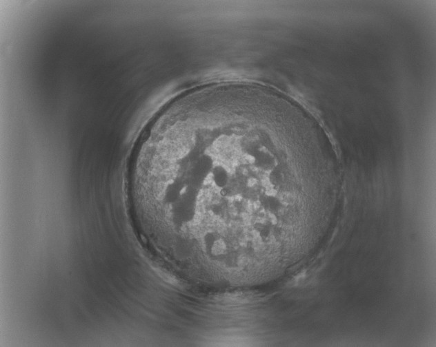 X0000063510103200602032054