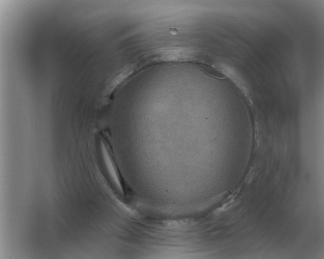 X0000063510105200602032054