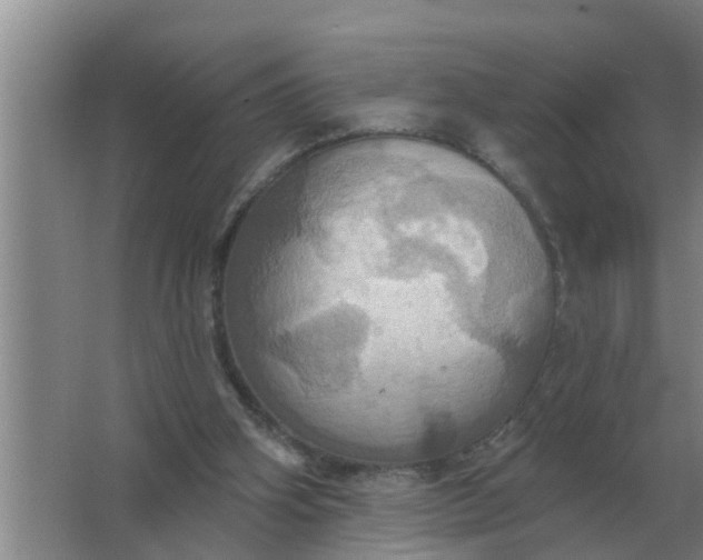 X0000063510106200602032054