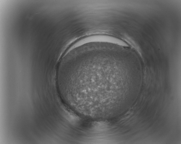 X0000063510107200602032053