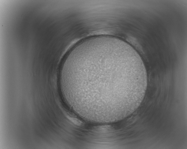 X0000063510108200602032053