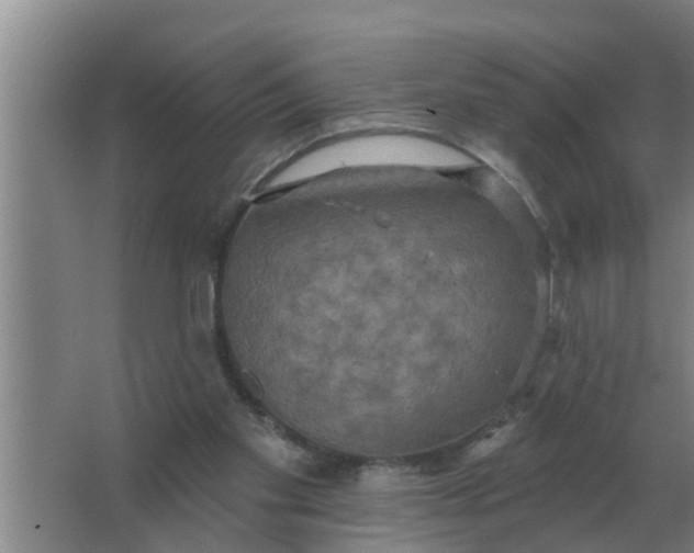 X0000063510109200602032053