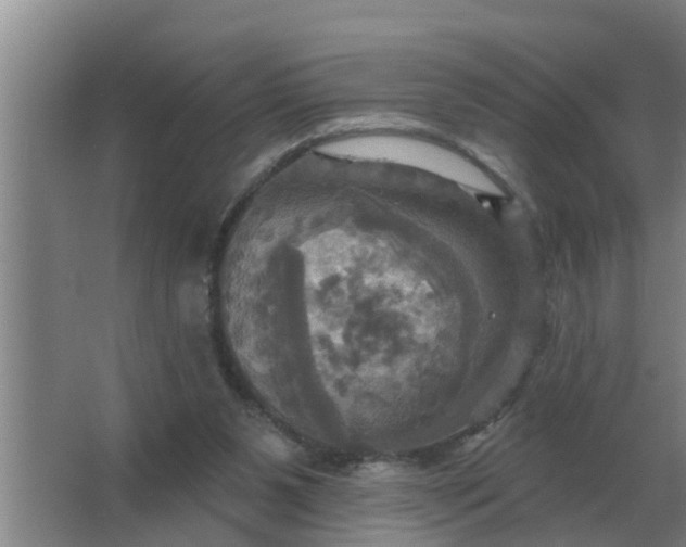 X0000063510111200602032053