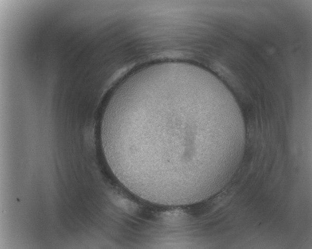 X0000063510112200602032053