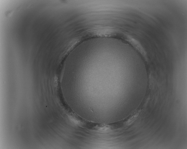 X0000063510113200602032053