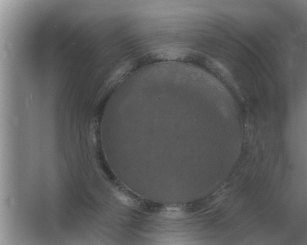 X0000063510114200602032053