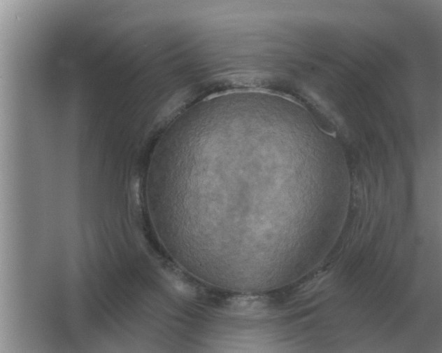 X0000063510117200602032053