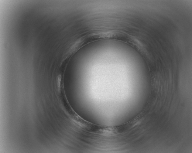 X0000063510118200602032053