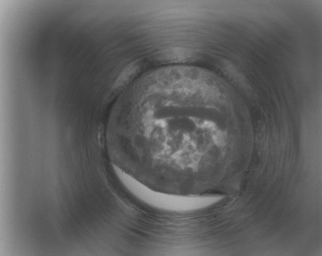 X0000063510119200602032053